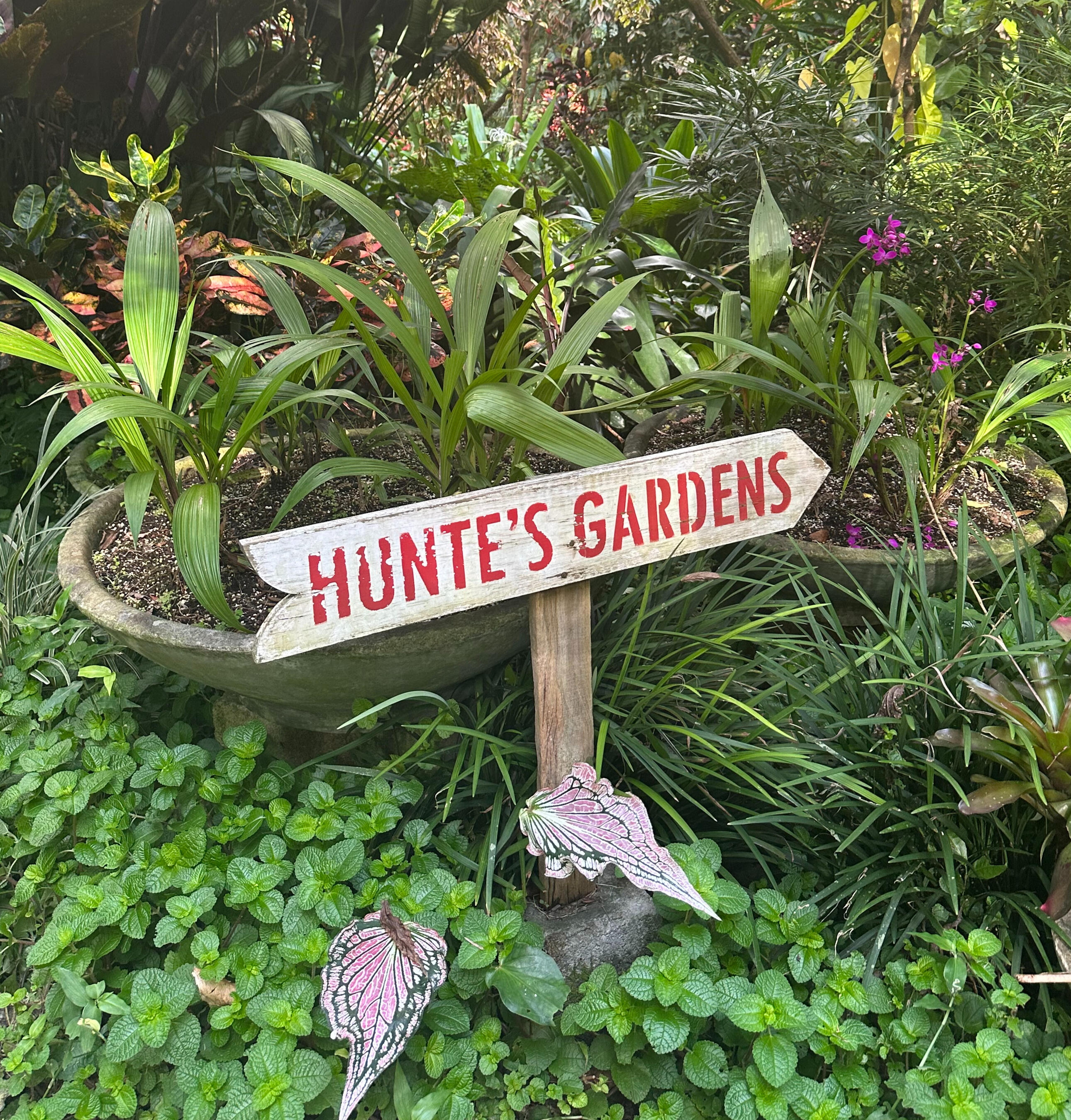 Hunte's Gardens Photo of flower garden with sign