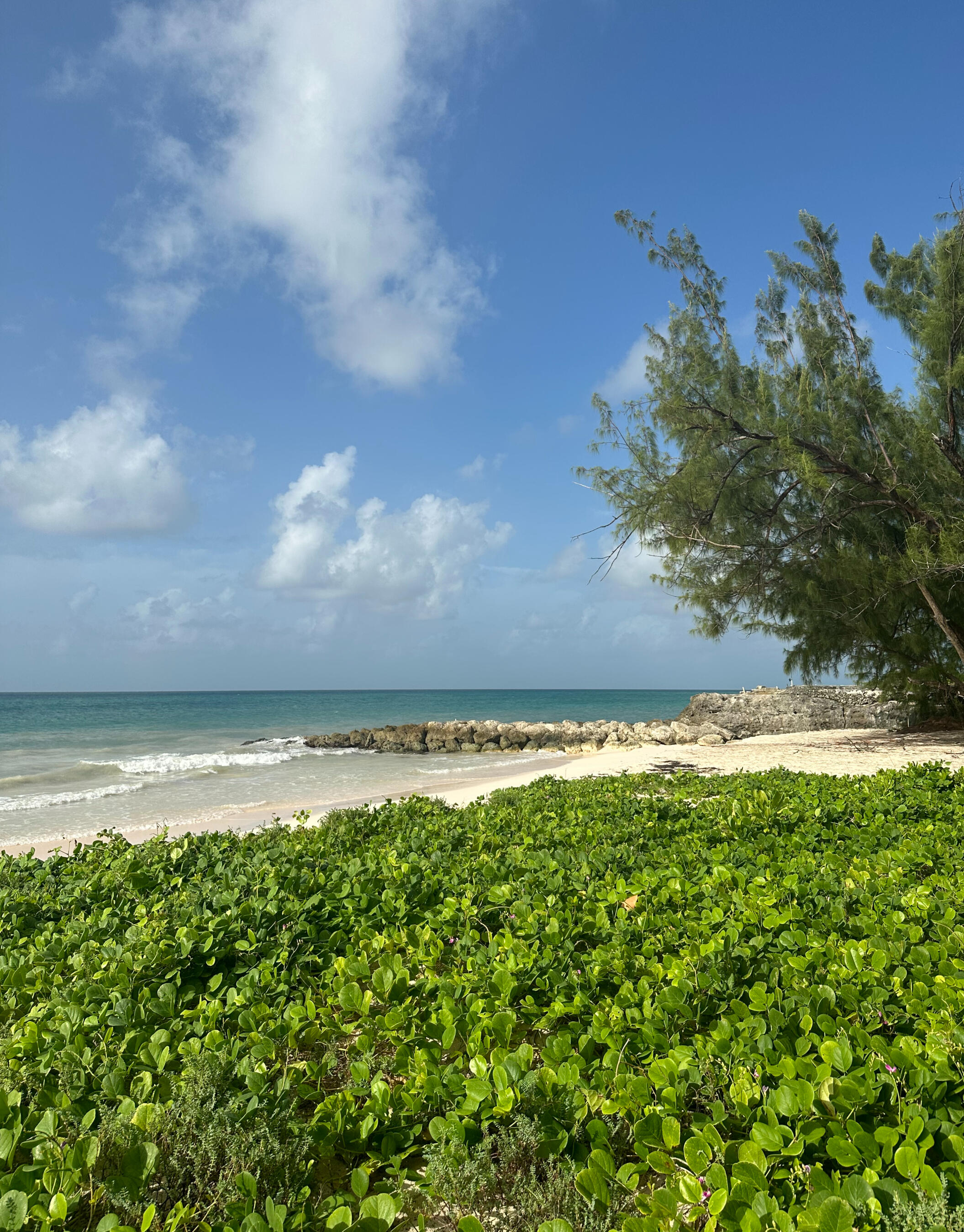 Mullins beach